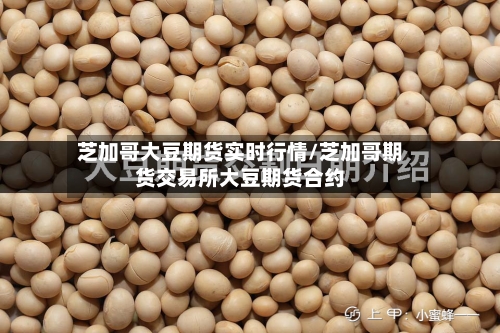 芝加哥大豆期货实时行情/芝加哥期货交易所大豆期货合约