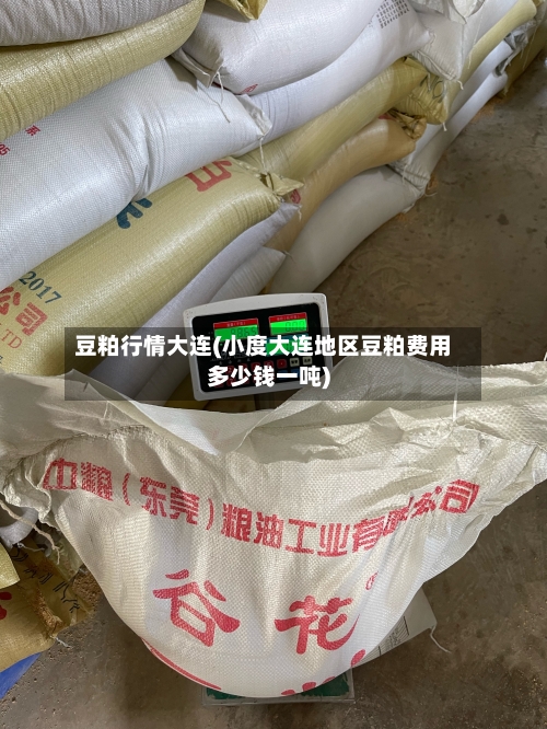 豆粕行情大连(小度大连地区豆粕费用多少钱一吨)