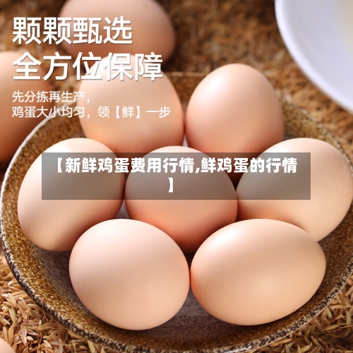 【新鲜鸡蛋费用行情,鲜鸡蛋的行情】