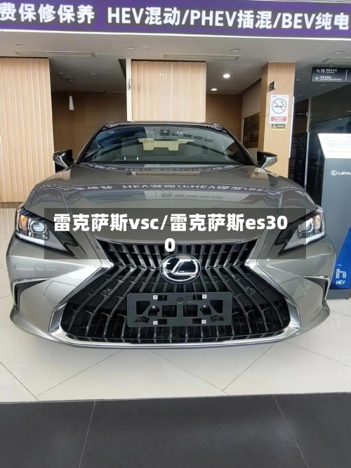 雷克萨斯vsc/雷克萨斯es300-第3张图片