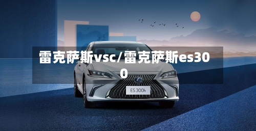雷克萨斯vsc/雷克萨斯es300