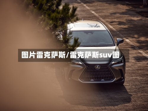 图片雷克萨斯/雷克萨斯suv图-第2张图片