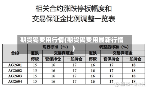 期货锡费用行情(期货锡费用最新行情)