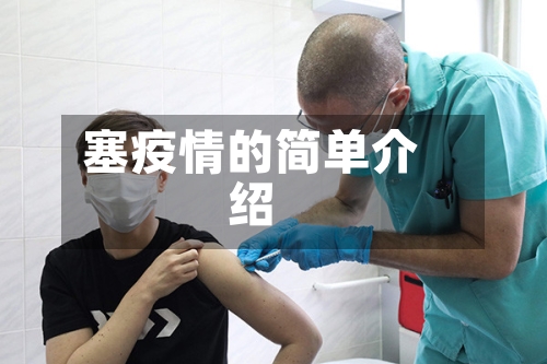 塞疫情的简单介绍