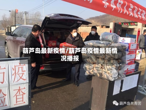 葫芦岛最新疫情/葫芦岛疫情最新情况播报