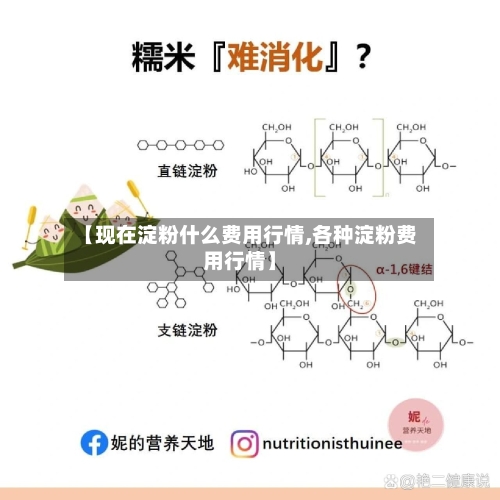 【现在淀粉什么费用行情,各种淀粉费用行情】