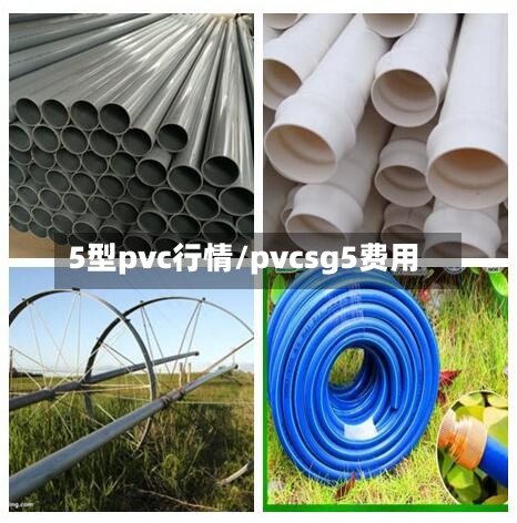 5型pvc行情/pvcsg5费用