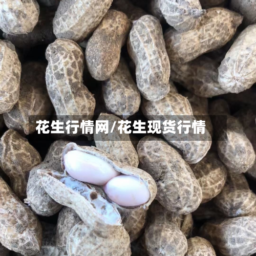 花生行情网/花生现货行情