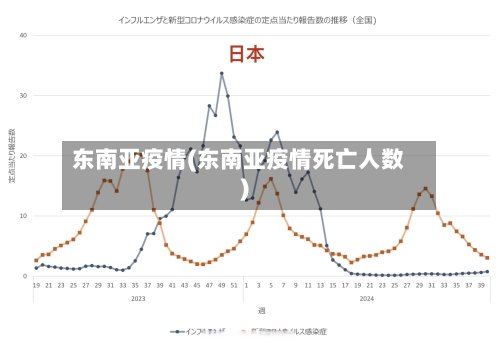 东南亚疫情(东南亚疫情死亡人数)