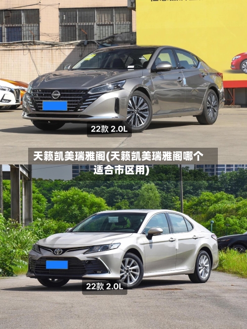 天籁凯美瑞雅阁(天籁凯美瑞雅阁哪个适合市区用)