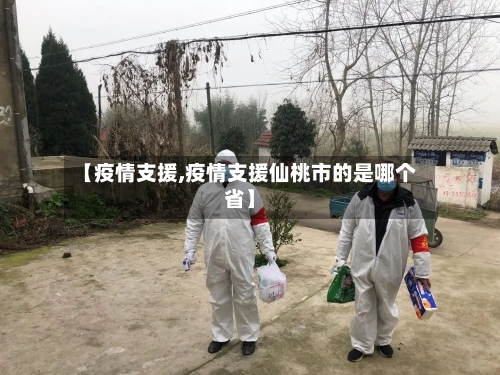 【疫情支援,疫情支援仙桃市的是哪个省】
