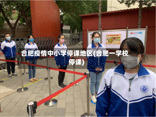合肥疫情中小学停课地区(合肥一学校停课)