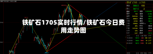 铁矿石1705实时行情/铁矿石今日费用走势图