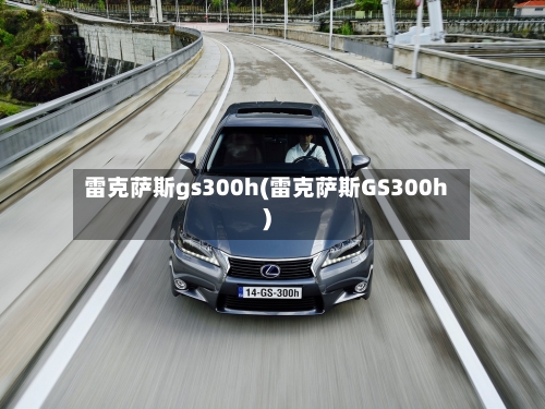 雷克萨斯gs300h(雷克萨斯GS300h)