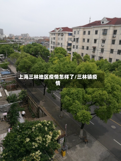 上海三林地区疫情怎样了/三林镇疫情
