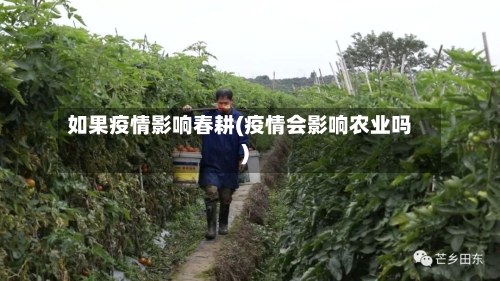 如果疫情影响春耕(疫情会影响农业吗)