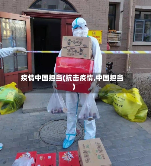疫情中国担当(抗击疫情,中国担当)