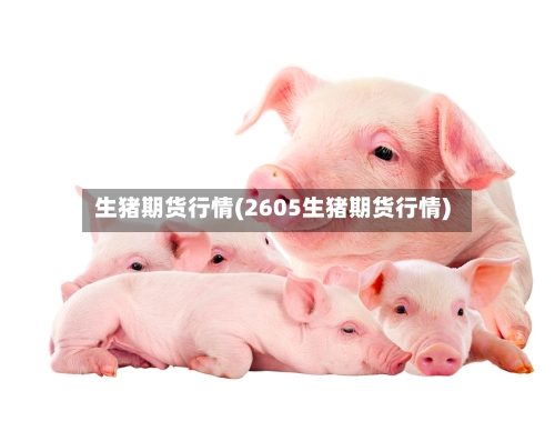 生猪期货行情(2605生猪期货行情)