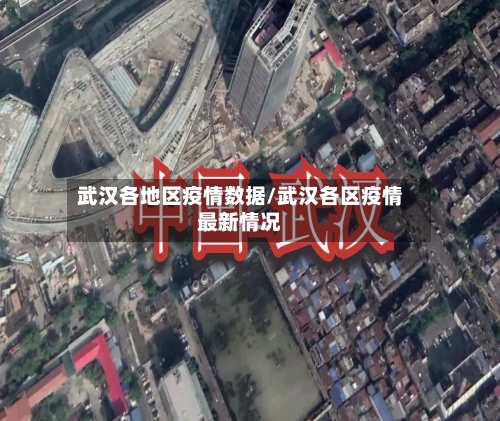 武汉各地区疫情数据/武汉各区疫情最新情况