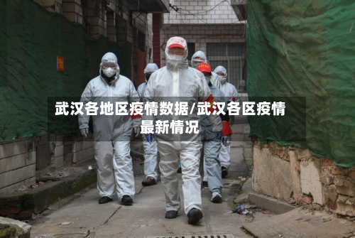 武汉各地区疫情数据/武汉各区疫情最新情况-第2张图片