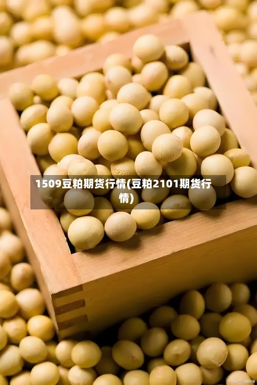 1509豆粕期货行情(豆粕2101期货行情)