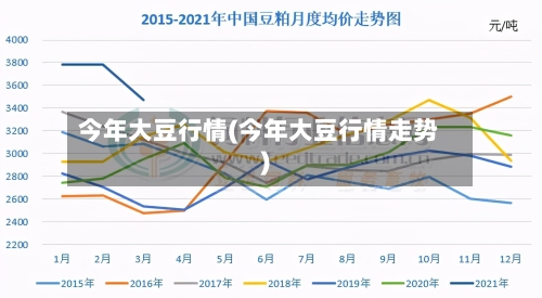 今年大豆行情(今年大豆行情走势)