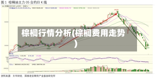 棕榈行情分析(棕榈费用走势)-第2张图片