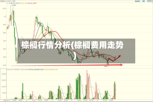 棕榈行情分析(棕榈费用走势)