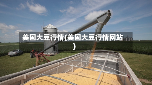 美国大豆行情(美国大豆行情网站)