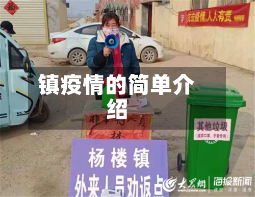 镇疫情的简单介绍