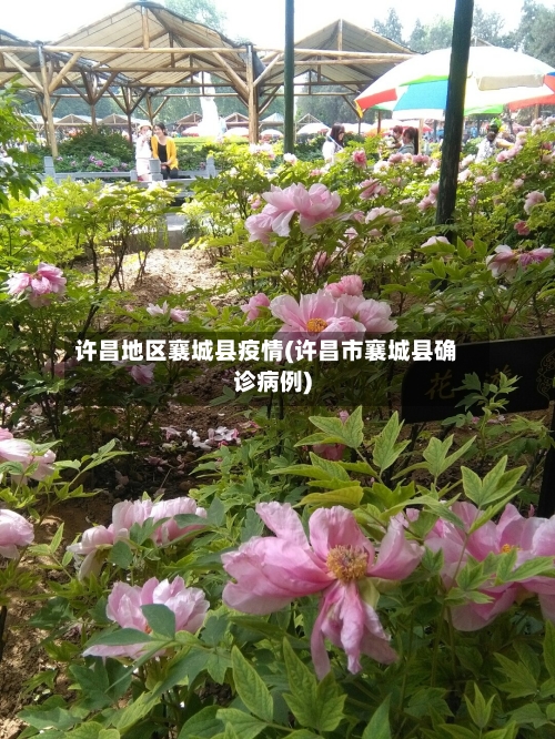 许昌地区襄城县疫情(许昌市襄城县确诊病例)-第2张图片