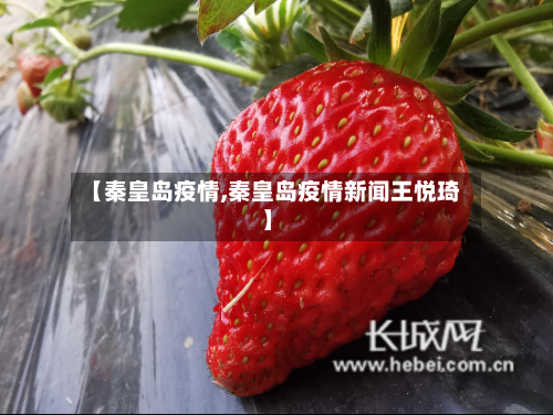 【秦皇岛疫情,秦皇岛疫情新闻王悦琦】