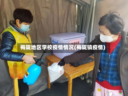 梅陇地区学校疫情情况(梅陇镇疫情)