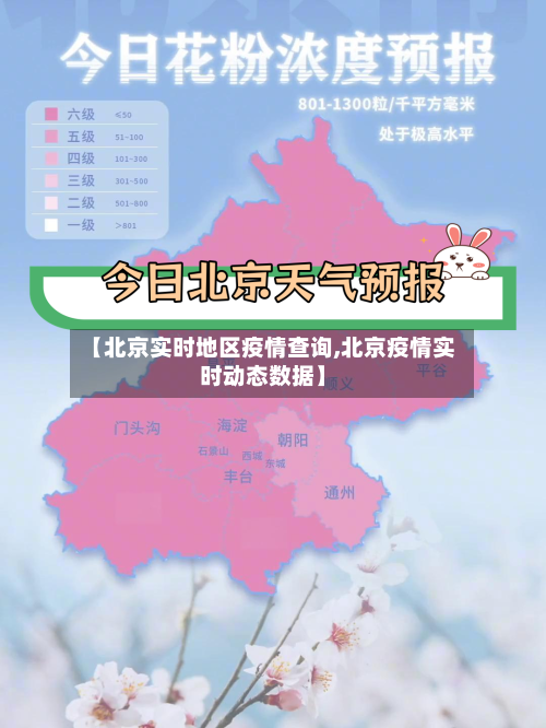 【北京实时地区疫情查询,北京疫情实时动态数据】