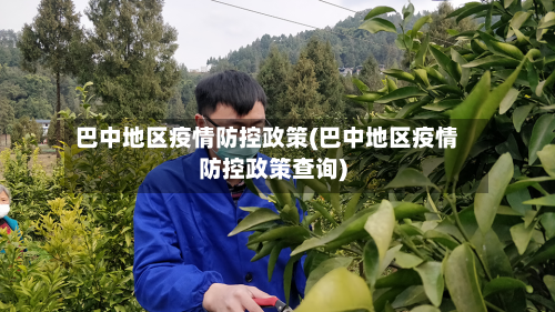 巴中地区疫情防控政策(巴中地区疫情防控政策查询)
