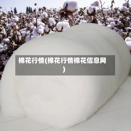 棉花行情(棉花行情棉花信息网)