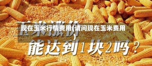 现在玉米行情费用(请问现在玉米费用)-第3张图片