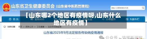 【山东哪2个地区有疫情呀,山东什么地区有疫情】