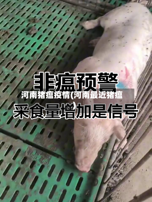 河南猪瘟疫情(河南最近猪瘟)