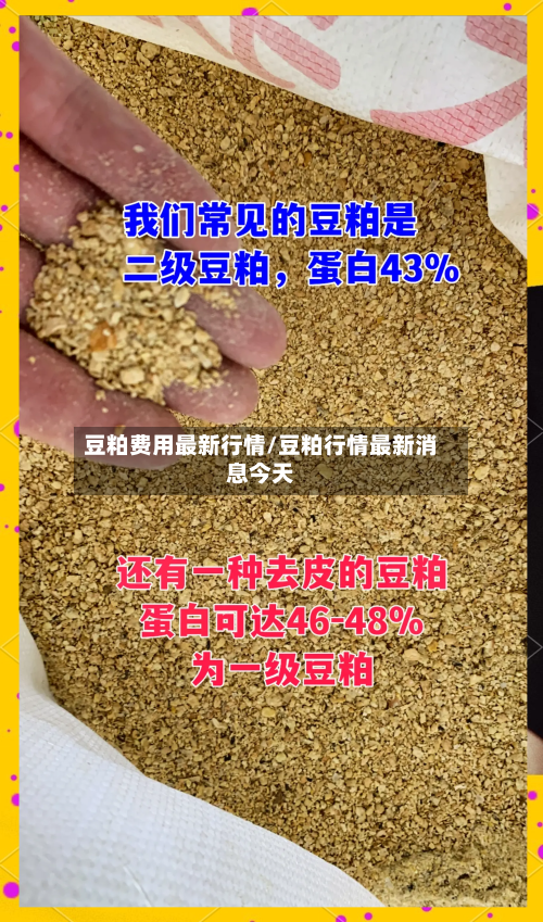 豆粕费用最新行情/豆粕行情最新消息今天
