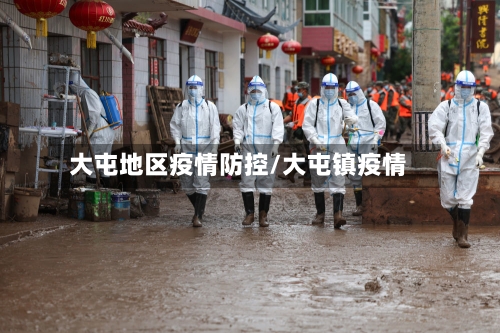 大屯地区疫情防控/大屯镇疫情