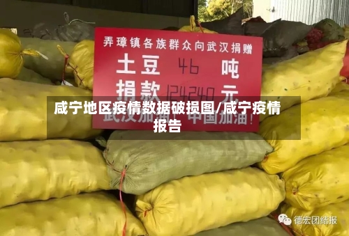 咸宁地区疫情数据破损图/咸宁疫情报告