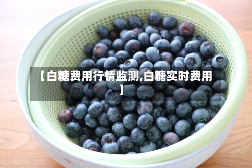 【白糖费用行情监测,白糖实时费用】