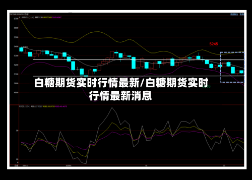 白糖期货实时行情最新/白糖期货实时行情最新消息-第2张图片