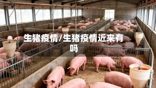 生猪疫情/生猪疫情近来有吗-第2张图片