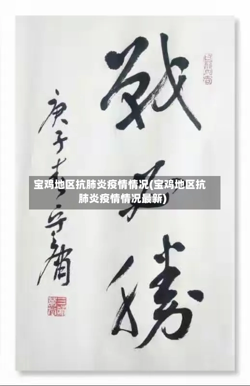 宝鸡地区抗肺炎疫情情况(宝鸡地区抗肺炎疫情情况最新)-第2张图片