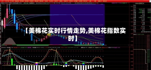 【美棉花实时行情走势,美棉花指数实时】-第2张图片