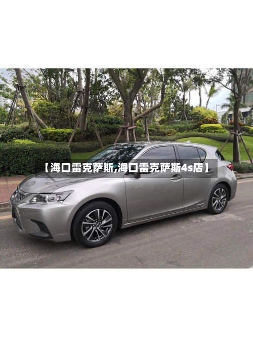 【海口雷克萨斯,海口雷克萨斯4s店】-第3张图片