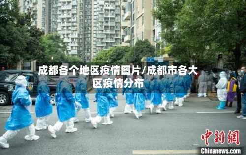 成都各个地区疫情图片/成都市各大区疫情分布-第3张图片