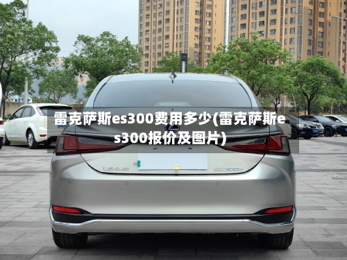 雷克萨斯es300费用多少(雷克萨斯es300报价及图片)-第3张图片